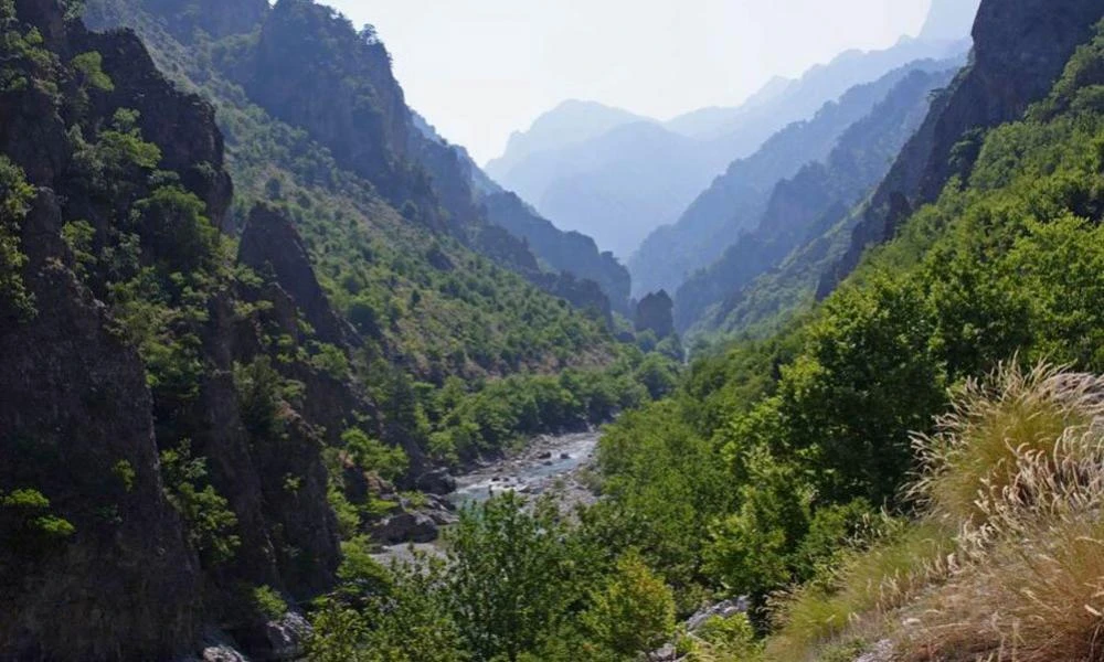 Φθιώτιδα: Άντρας έπεσε σε χαράδρα μπροστά στα μάτια του πατέρα του